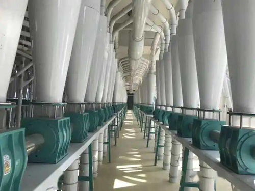 河套面粉蒙廚、蒙雪花、巴蒙久星系列全國(guó)招商暨軟件開發(fā)合作伙伴招募